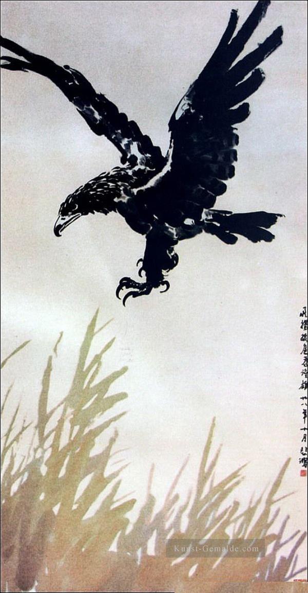 Xu Beihong fliegender Adler Chinesische Malerei Ölgemälde